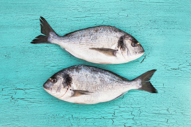 Zwei rohe Dorado Fische. Draufsicht, Raum kopieren