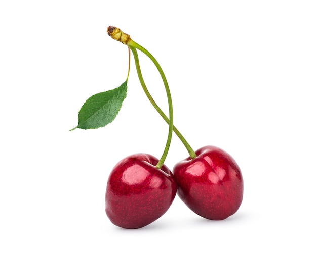Zwei rote Kirschen auf weißem Hintergrund