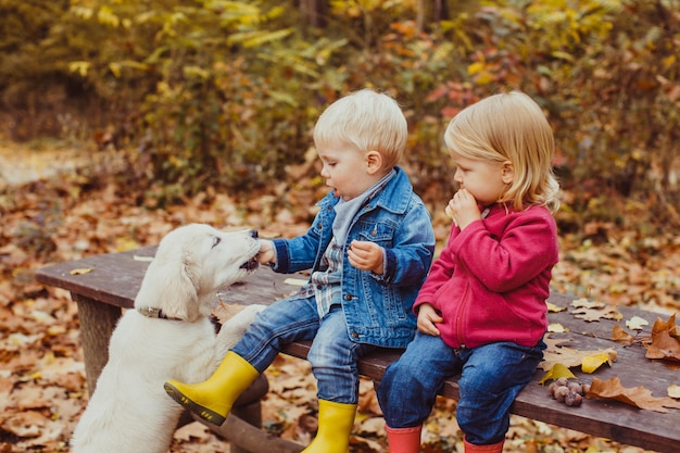 Zwei schöne kleine Kinder sitzen auf der Bank im Herbstpark und füttern das Hündchen