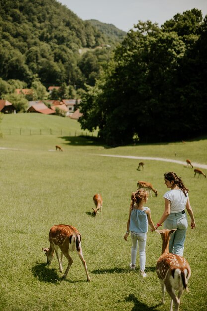 Zwei schöne kleine Mädchen gehen an einem sonnigen Tag zwischen einer Rentierherde spazieren