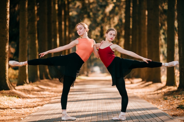 Zwei schöne weibliche Balletttänzer, die in einem Baumtal balancieren