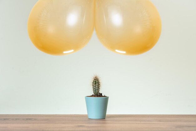 Zwei schwebende Luftballons und eine Kaktuspflanze, die auf dem Tisch steht