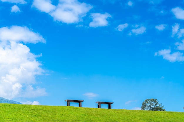 Zwei Stühle leer auf grünem Gras im Park im Naturwald Blick auf die Berge Frühling strahlend blauer Himmel Wetter Natur abstrakte klare Textur mit weißen Wolken Sommer Licht Sonne Tag