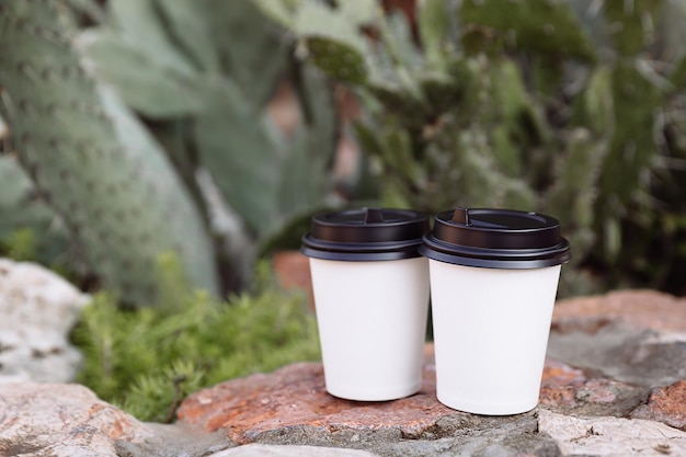 Zwei Tassen Coffee to go Tassen aus weißem Papier auf den Steinen Hinter den Steinen wächst ein Kaktus