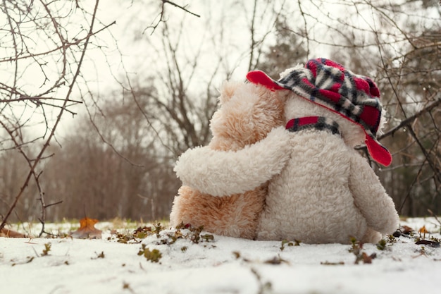 Zwei Teddybären umarmen sich im Schnee im Wald. Das Konzept der Liebe, Beziehungen.