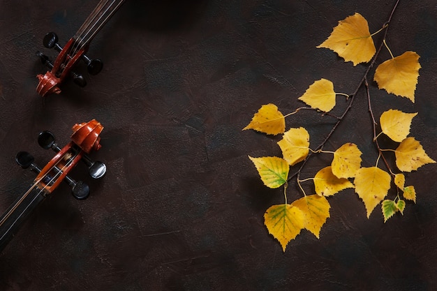 Zwei Violinen und Birkenzweig mit gelbem Herbstlaub.