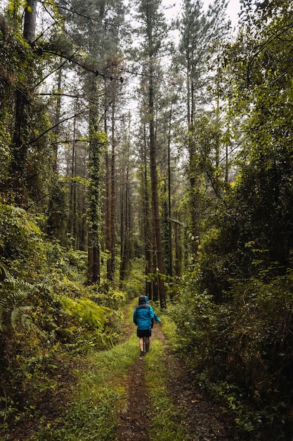 Zwei Wanderer in Regenmänteln, die im Regen durch einen Wald gehen