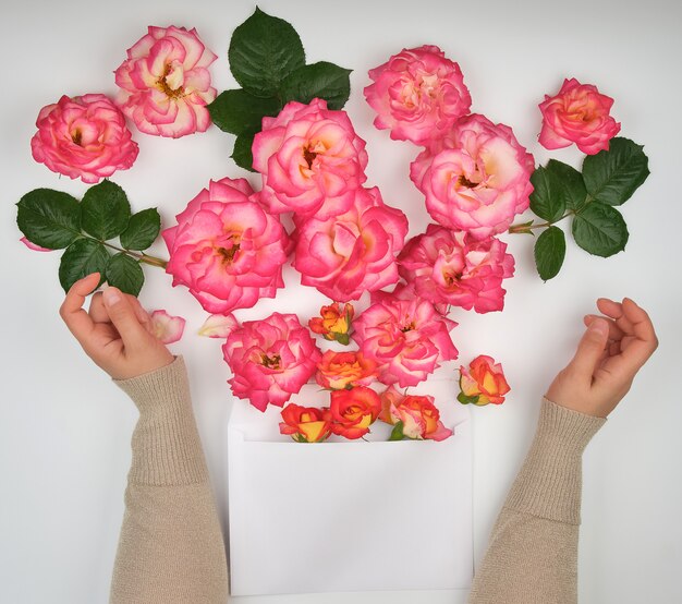 Zwei weibliche Hände und ein Papierumschlag mit den Knospen von rosa Rosen