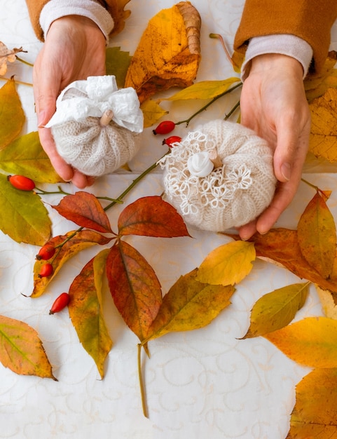 Zwei weiße gestrickte Kürbisse auf dem weißen Hintergrund mit Herbstlaub