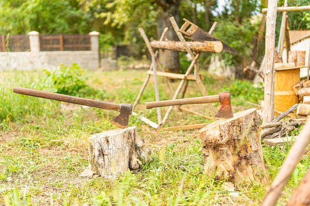 Zwei Äxte, die in einem Garten an Baumstämmen befestigt sind