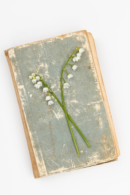 Foto zwei zweige der maiglöckchenblumen und des retro-buches auf weißem hintergrund