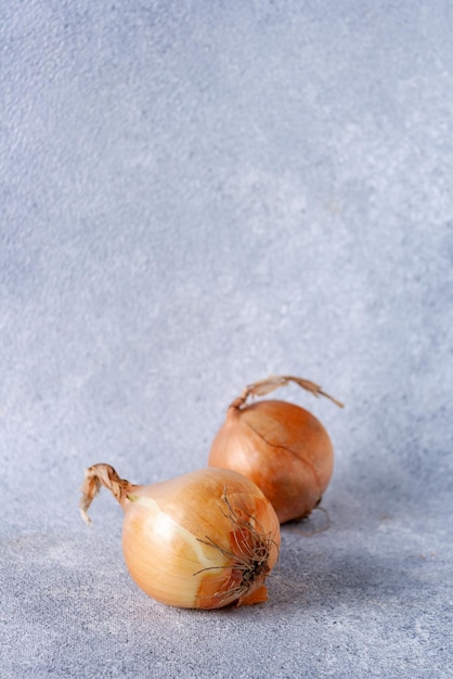 Zwei Zwiebeln liegen auf grauem Hintergrund