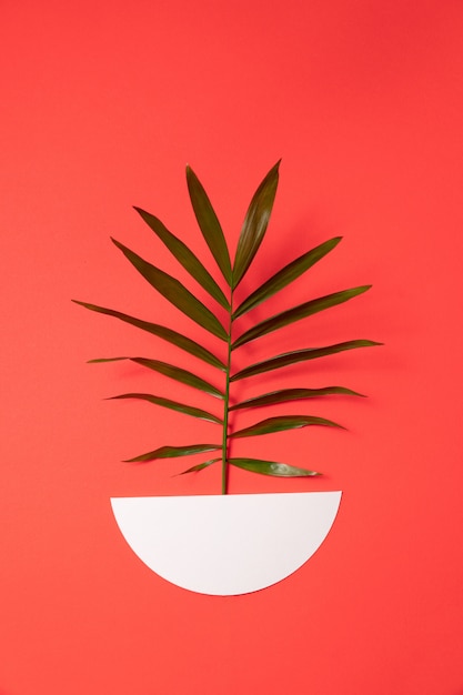 Foto zweig einer grünen pflanze in einem papiertopf