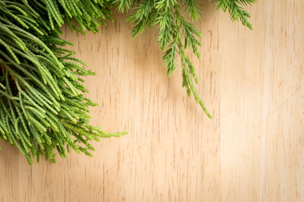 Zweige Arborvitae, Wacholderzweige auf Holz Weihnachten Hintergrund