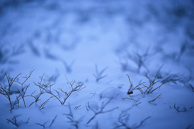 Zweige bedeckt mit Frosthintergrund abstrakte Winter-Dezember-Ansicht