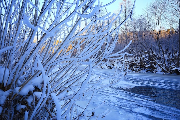 Zweige bedeckt mit Frosthintergrund abstrakte Winter-Dezember-Ansicht