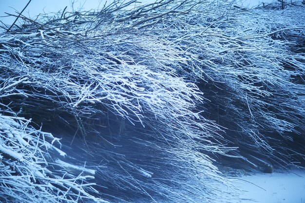 Zweige bedeckt mit Frosthintergrund abstrakte Winter-Dezember-Ansicht