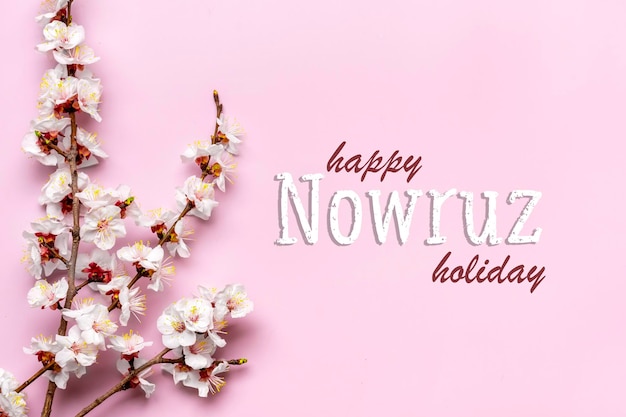 Zweige des Aprikosenbaums mit Blumen auf rosa Hintergrund Text Happy Nowruz Holiday