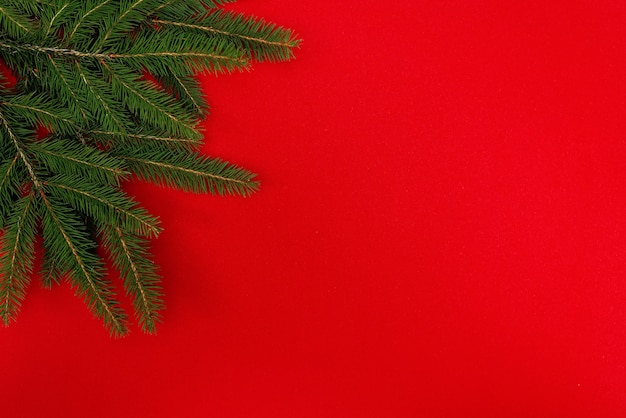 Zweige eines Weihnachtsbaumes lokalisiert auf einem roten.