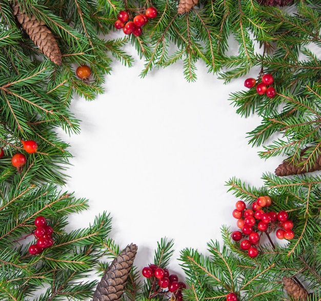 Zweige eines Weihnachtsbaumes mit Tannenzapfen