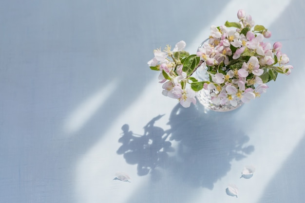 Zweige mit weißen Apfelblumen in einem transparenten Glas auf einer hellblauen Oberfläche