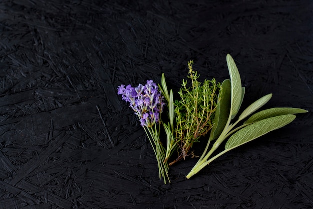 Zweige Rosmarin, Lavendel, Thymian und Salbei auf einem dunklen Hintergrund. Provenzalische Kräuter Gewürze Grün