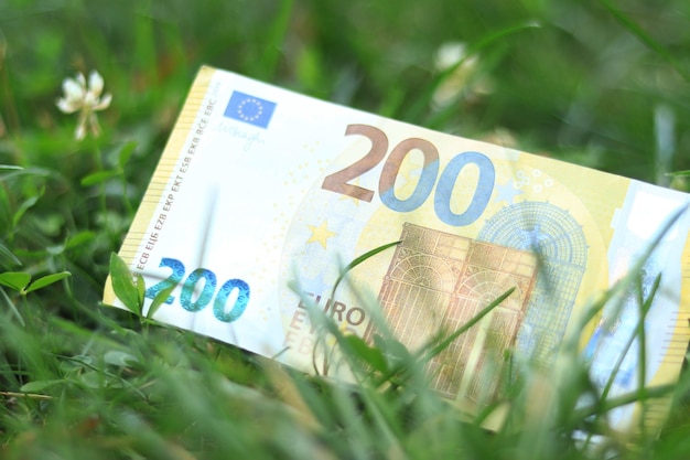 Zweihundert-Euro-Banknoten im Gras, Geld in den Wind werfen, Geld verlieren.