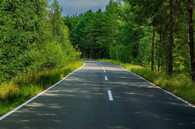 Zweispurige Asphaltstraße mit weißen Markierungen im Wald