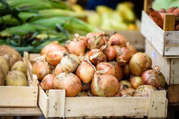 Zwiebel auf dem Markt Gegenerntesaison