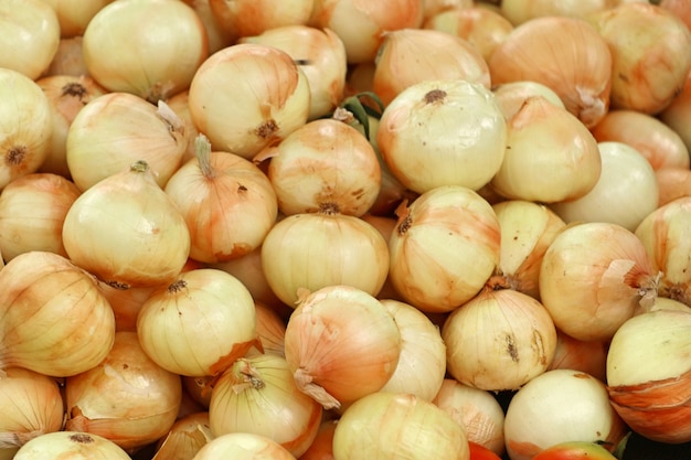 Zwiebel auf dem Markt