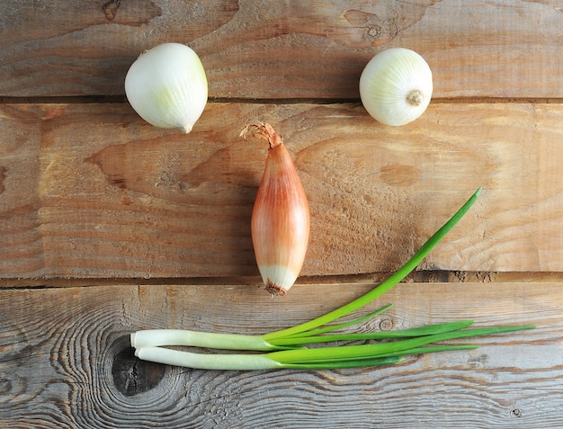 Foto zwiebeln verschiedener sorten