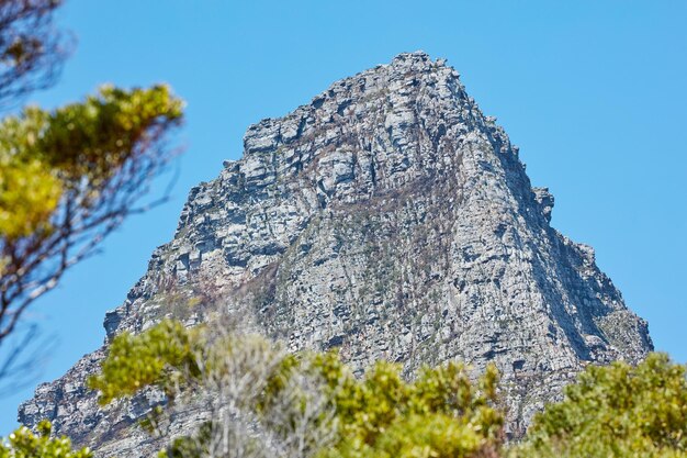 Zwölf Apostel auf dem Tafelberg in Kapstadt vor einem blauen Himmelshintergrund von unten Atemberaubende Aussicht auf Pflanzen und Sträucher, die um ein majestätisches Felsental und ein landschaftliches Wahrzeichen in der Natur wachsen