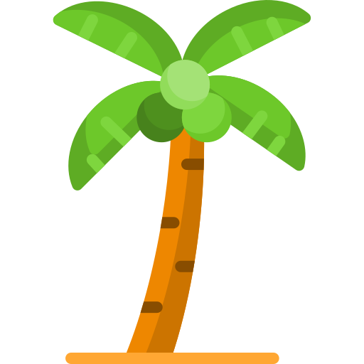 Coconut tree