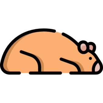 flaticon from Freepik: Hamster