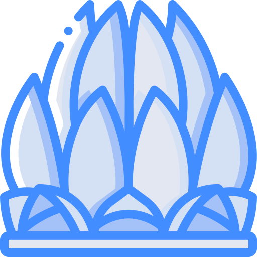 Lotus Temple