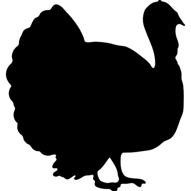 Turkey bird shape from side view