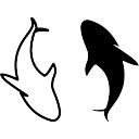 两个海豚