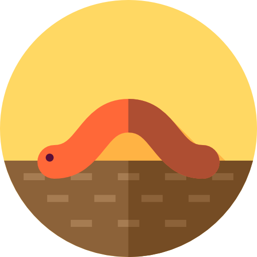 Worm