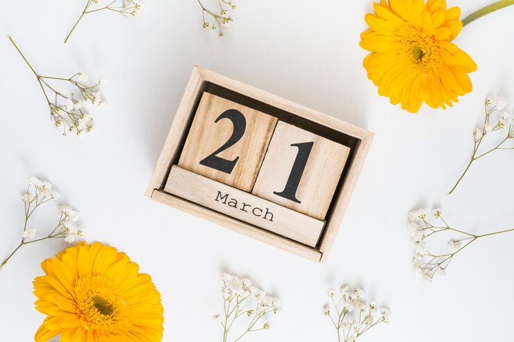 무료 Photo 거 베라 꽃 3 월 21 일 비문