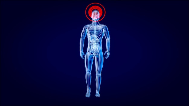 무료 사진 xray 남자의 3d 해부학 개념