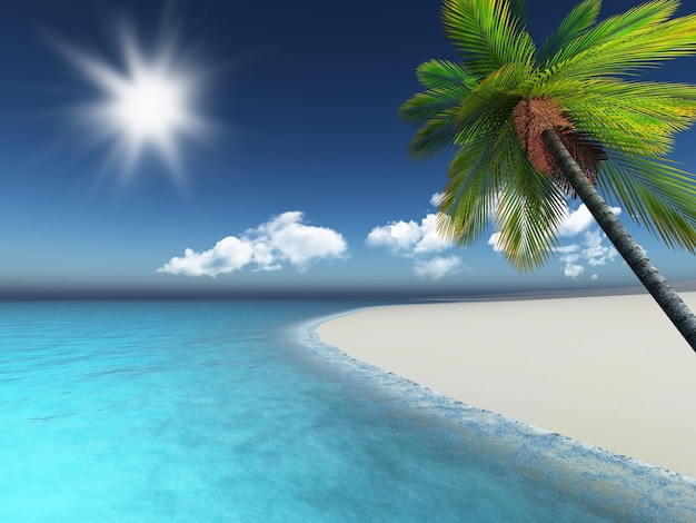 3d beach with a palm tree