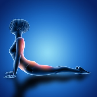 3d female figure in cobra pose with muscles used highlighted