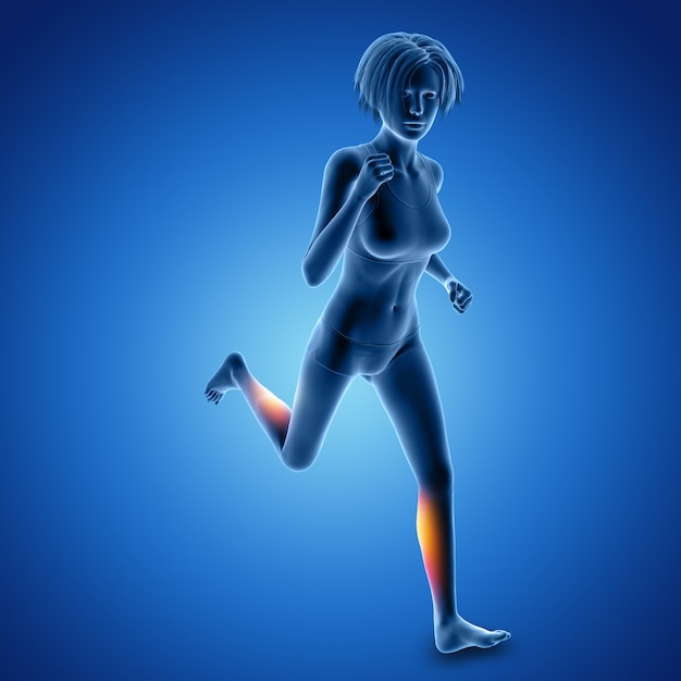 3D female figure in sprinting pose with muscles used highlighted