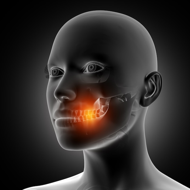 Free photo 3d female figure with teeth highlighted