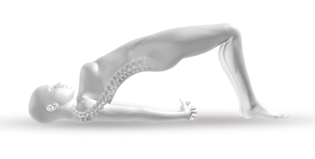 Figura medica femminile 3d con la spina dorsale nella posizione di yoga