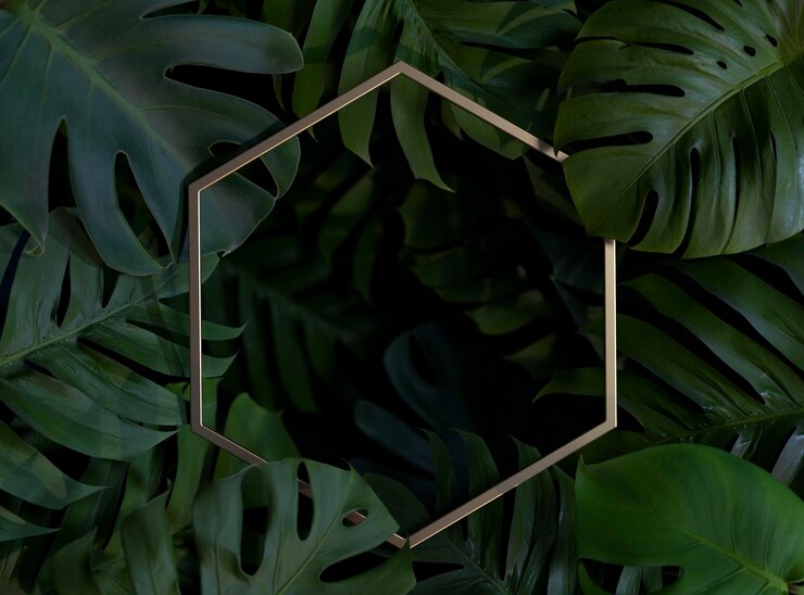 Free Photo 3d green palm leaves arrangement