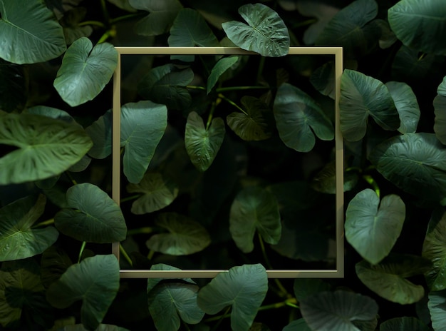 3d 녹색 잎 배열