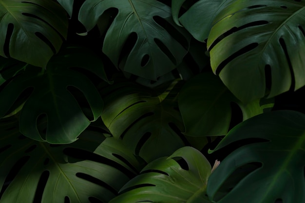 3d green palm leaves composition