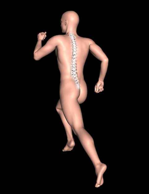 Free photo 3d male figure in running pose with spine highlighted