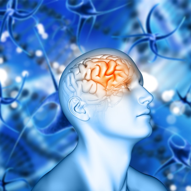脳細胞の背景に強調された脳を持つ3D男性の図